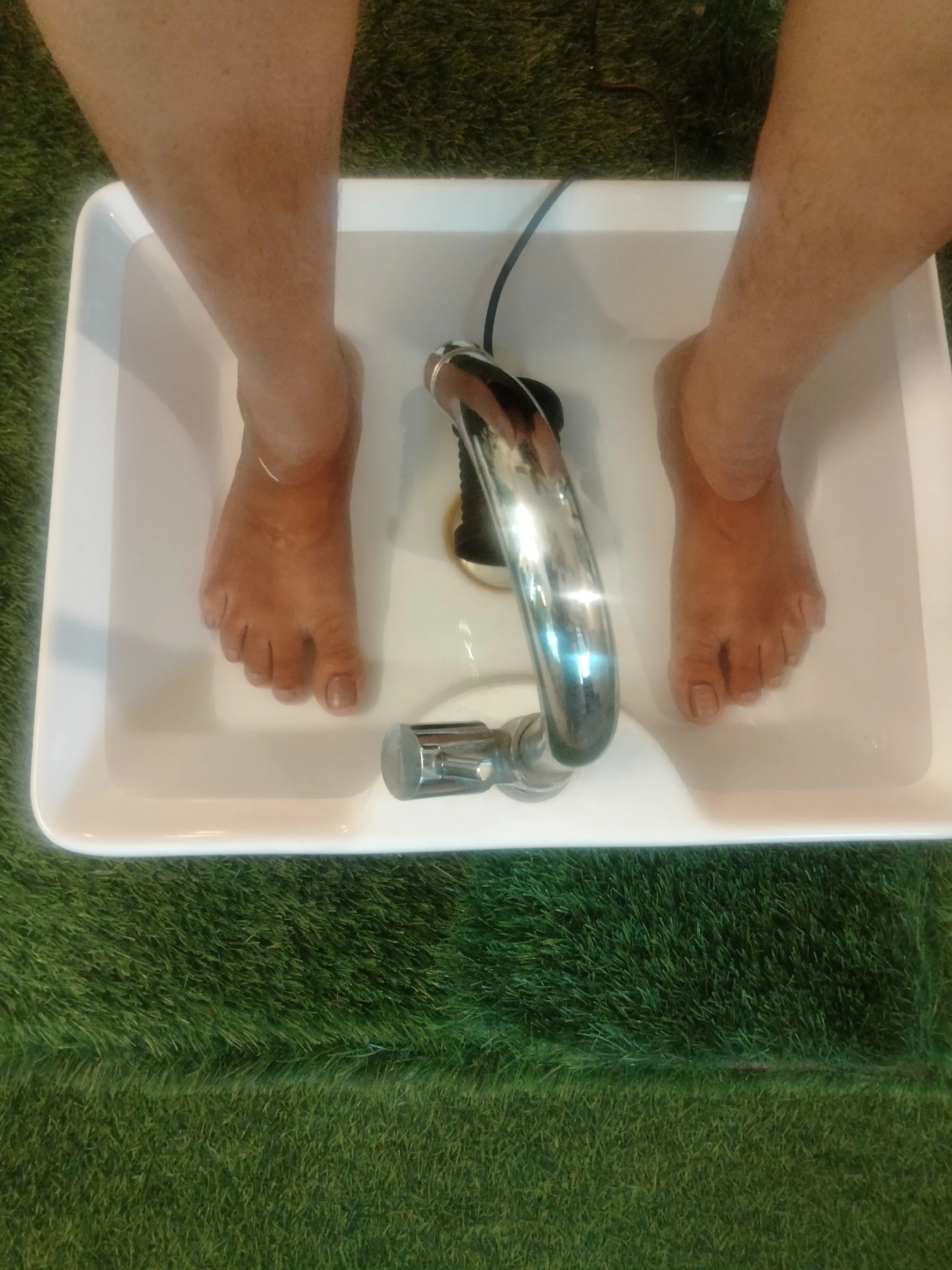 Ionic Foot Detox Therapy